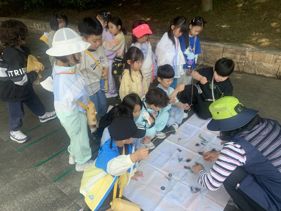 곤충을 붙여보아요