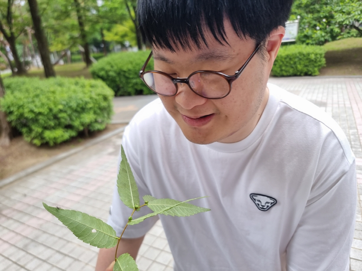 느티나무 사랑을 씨앗을 보며 느껴요