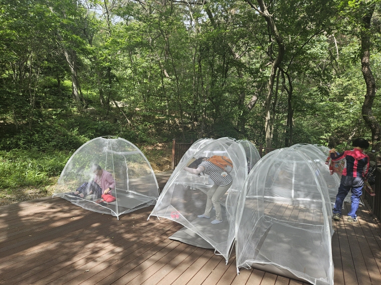 텐트명상이 최고야