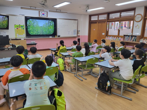 곤충 동영상을 시청해요