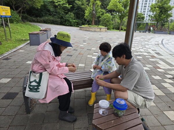 나뭇잎으로 배를 만들어요