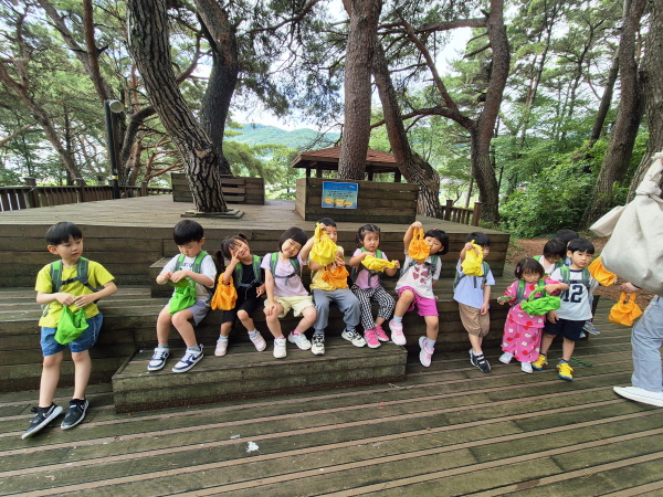 장바구니에 나뭇잎을 모아요