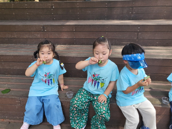 비눗방울 놀이1