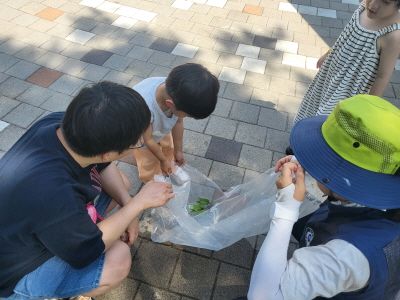 물위에 띄어요.