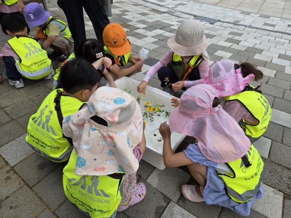 모산 숲에 있는 꽃과 잎으로 물놀이를 해요