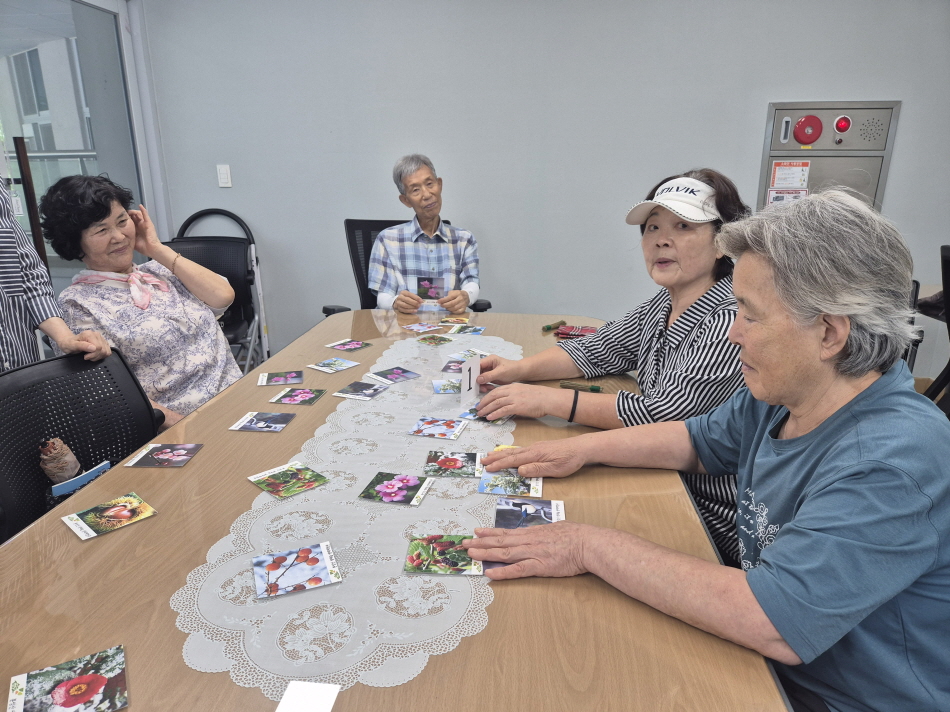 항노화 카드로 숫자를 기억해봐요