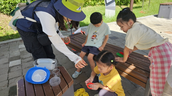 매미를 관찰해요