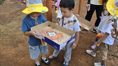 도토리야 굴러라!