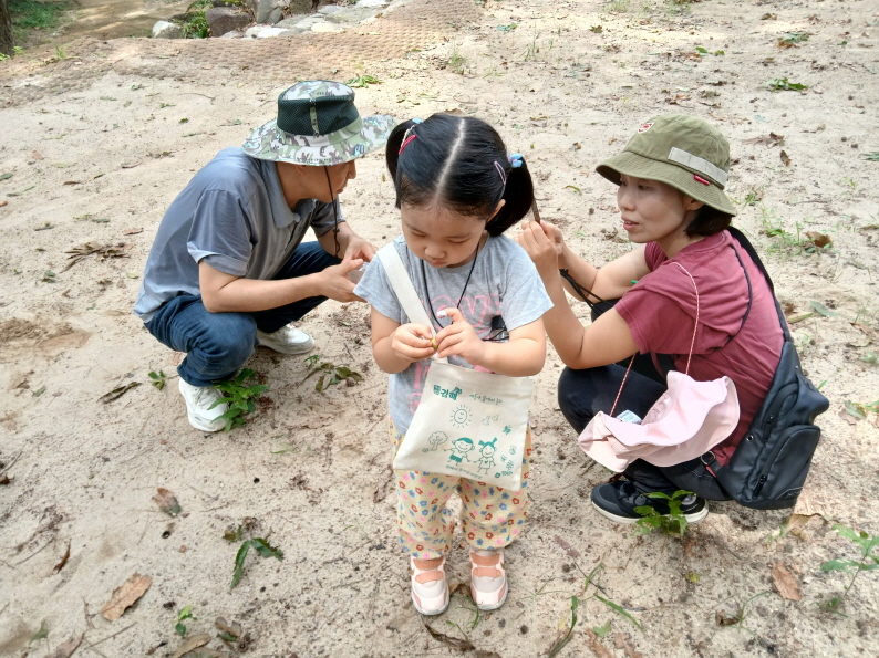 도토리 거위벌레의 알이 어디에 있을까?