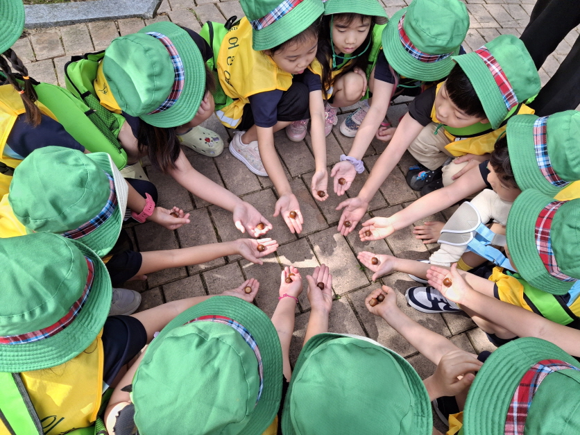 도토리를 찾았어요