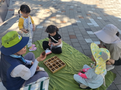 열매  모양을 관찰 했어요.