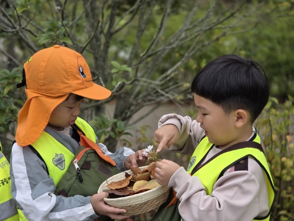 알록달록 낙엽을 모아요