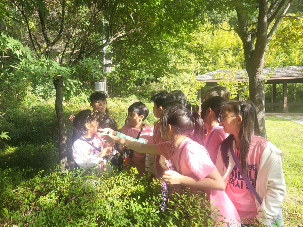 거미줄을 관찰해요