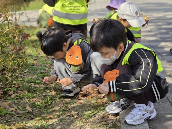 자연물을 채집해요