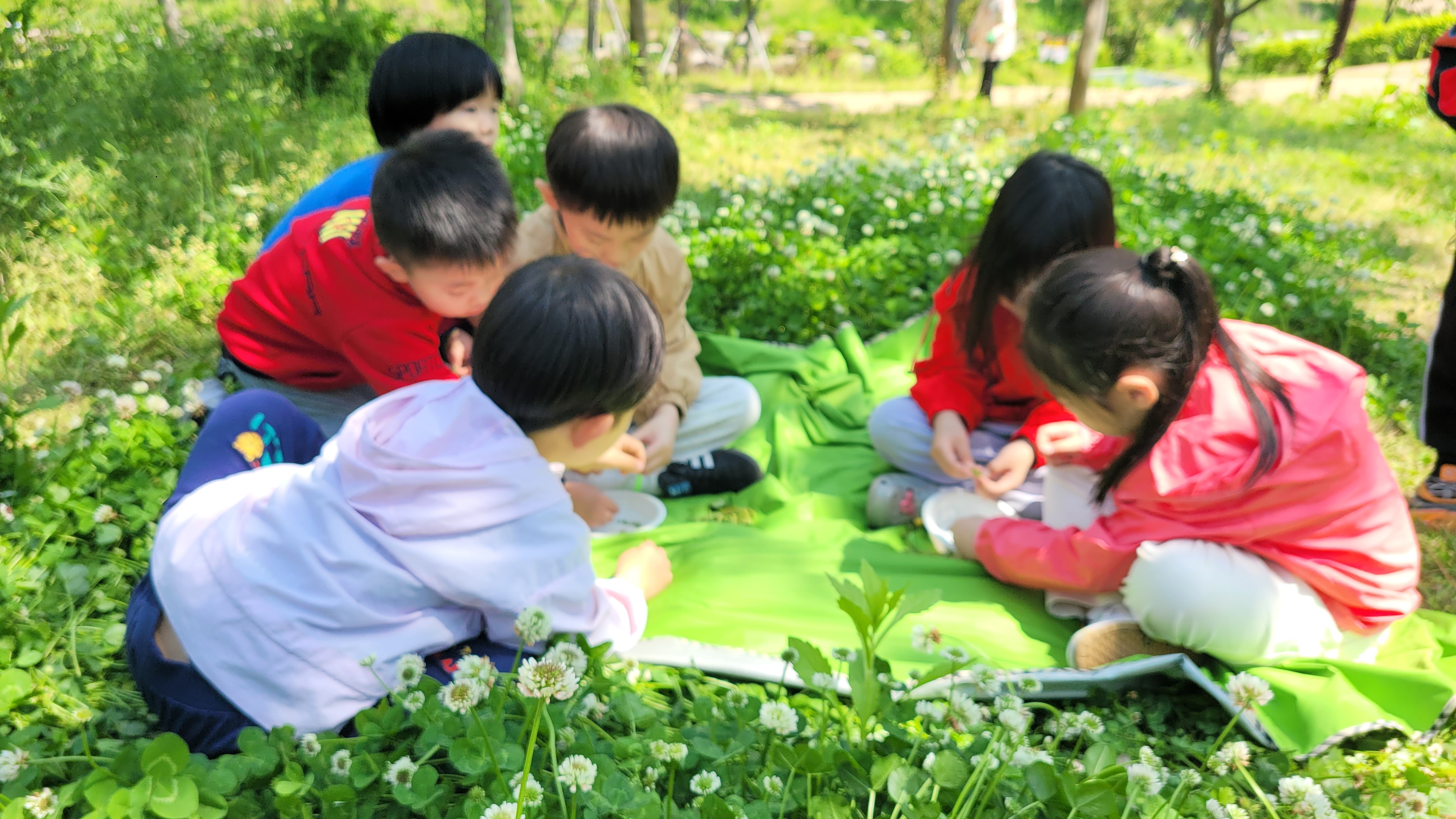 행운팡팡4잎 토끼풀을 찾았답니다