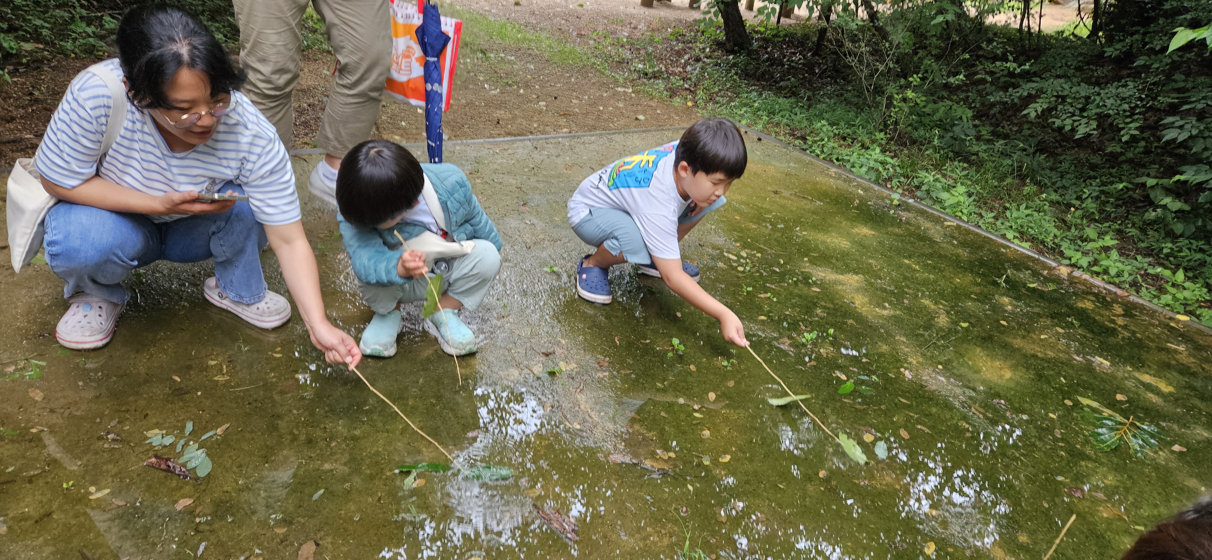 나뭇잎물고기 낚시놀이