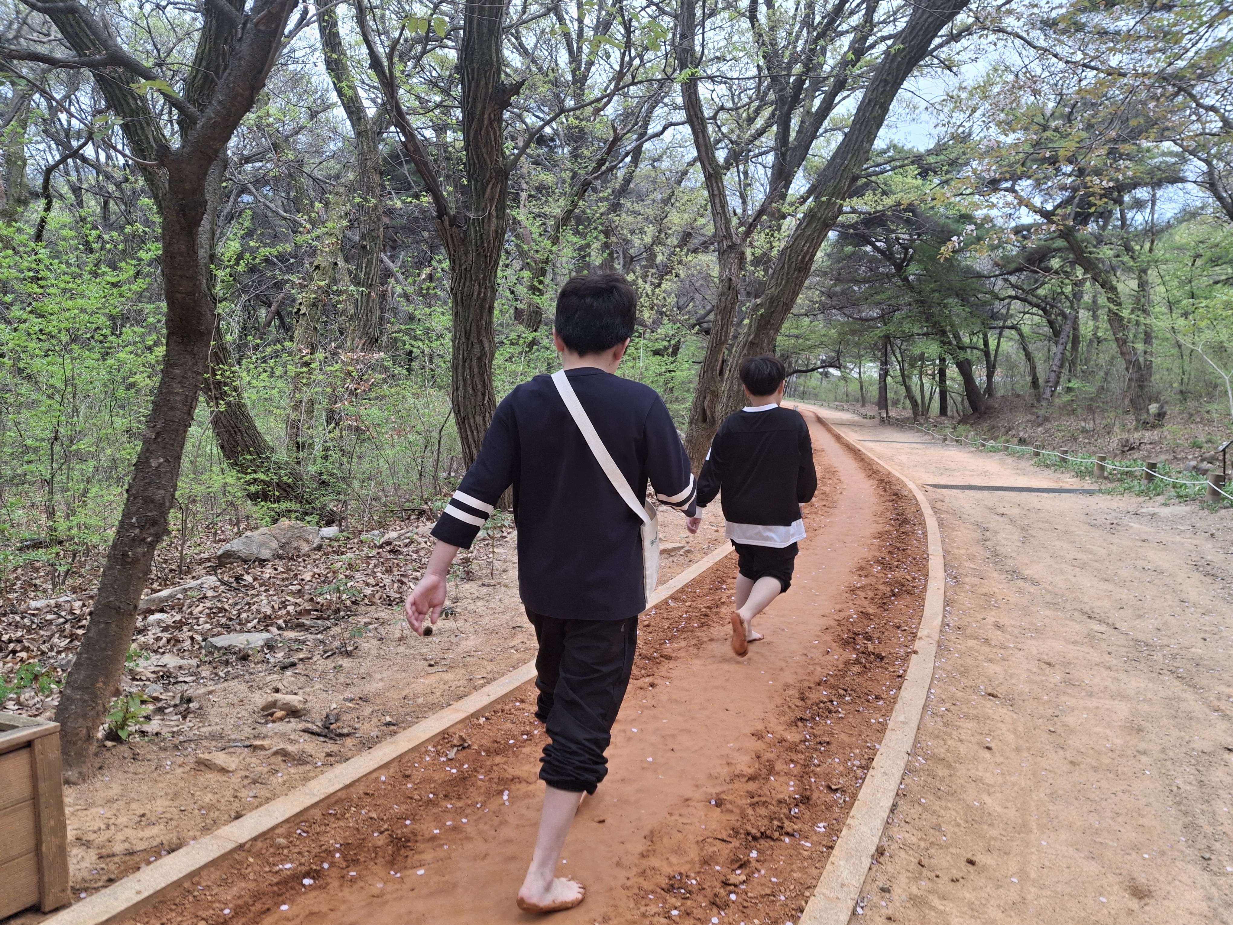 개구리 올챙이 관찰