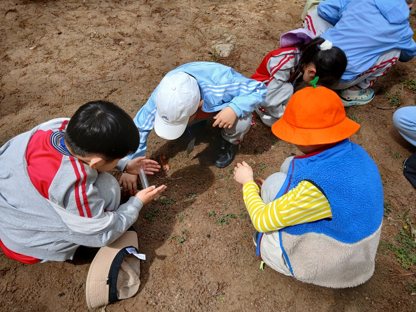 개미집을 찾았어요 개미야 뭐하니?