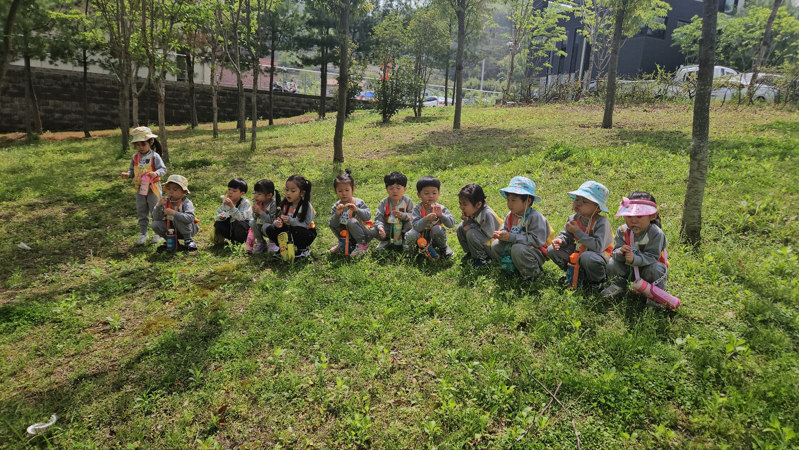 개미야 어디있니?