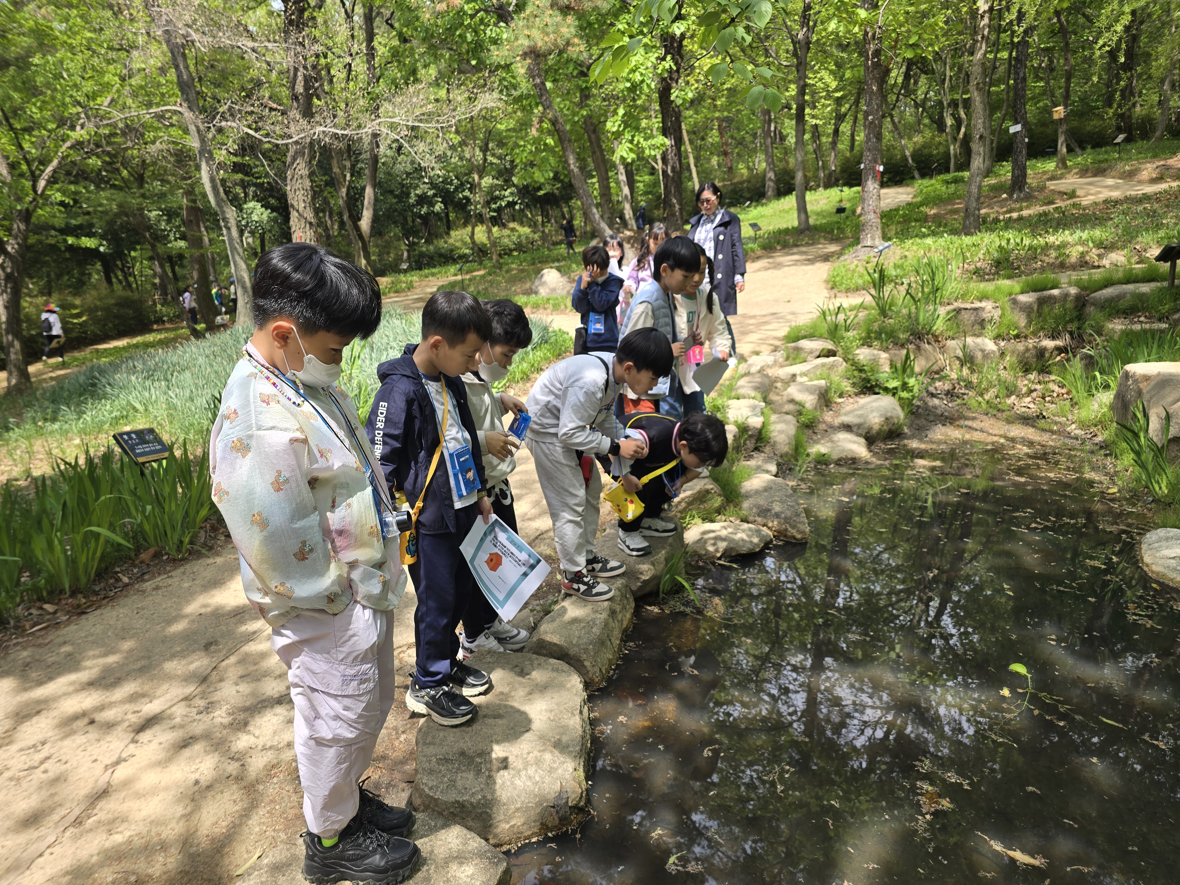 올챙이야 잘 크거라.