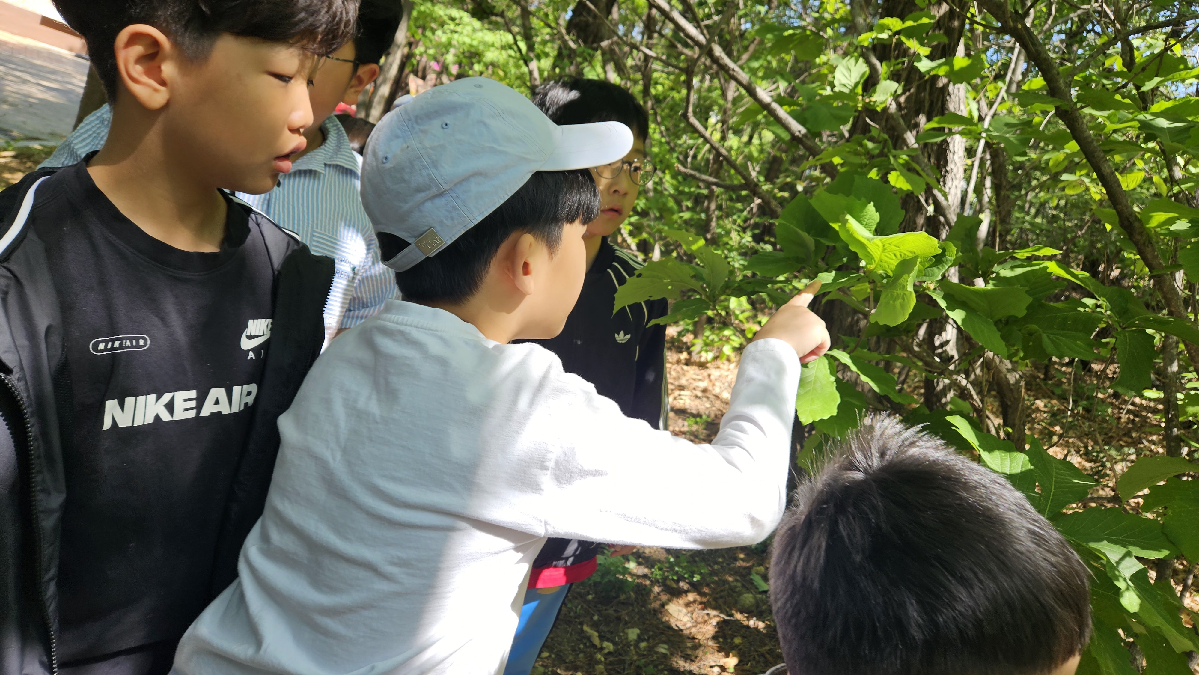 지금 숲에는 애벌레가 많아요