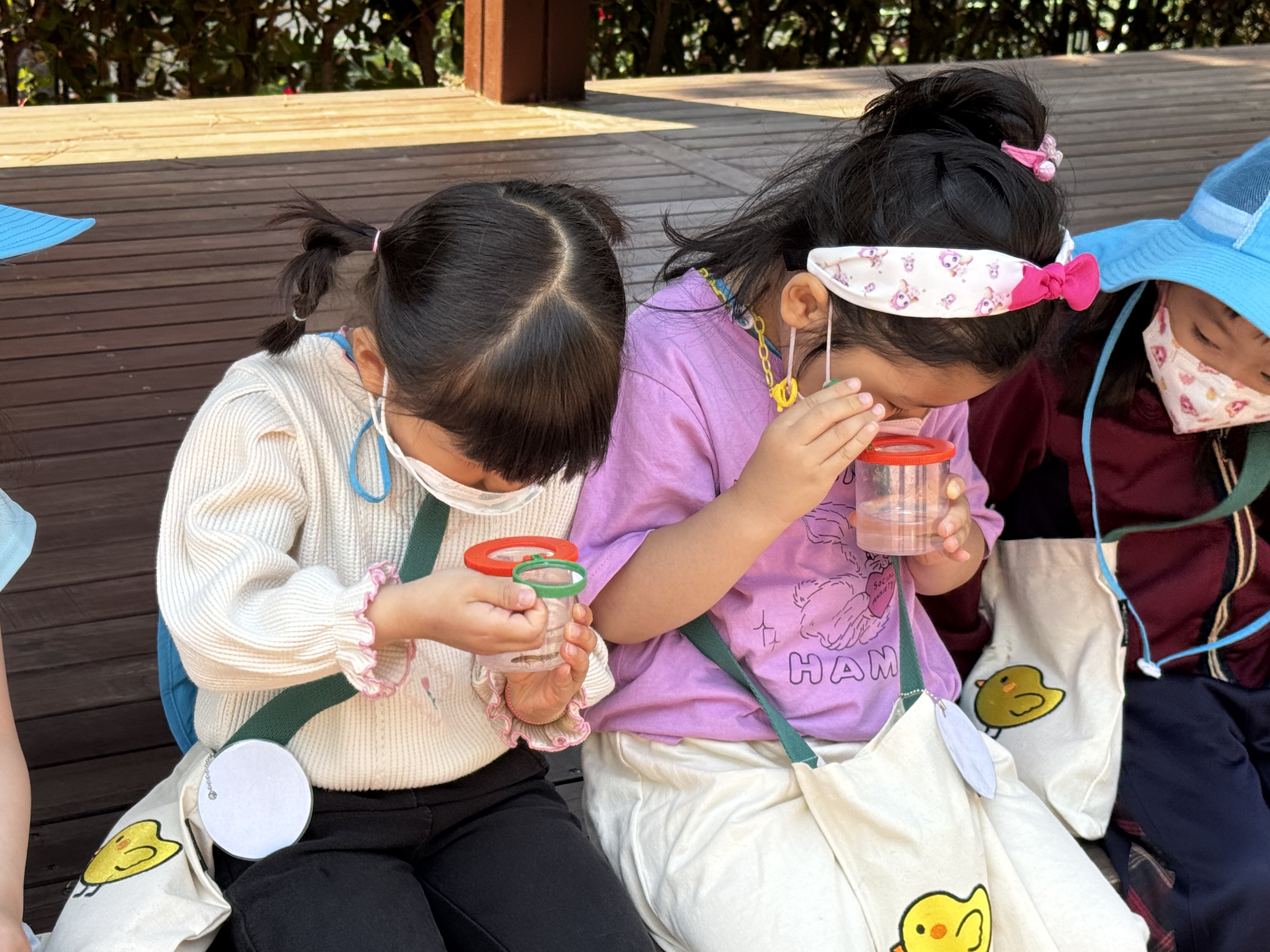 도롱뇽 얼마나 컷니?