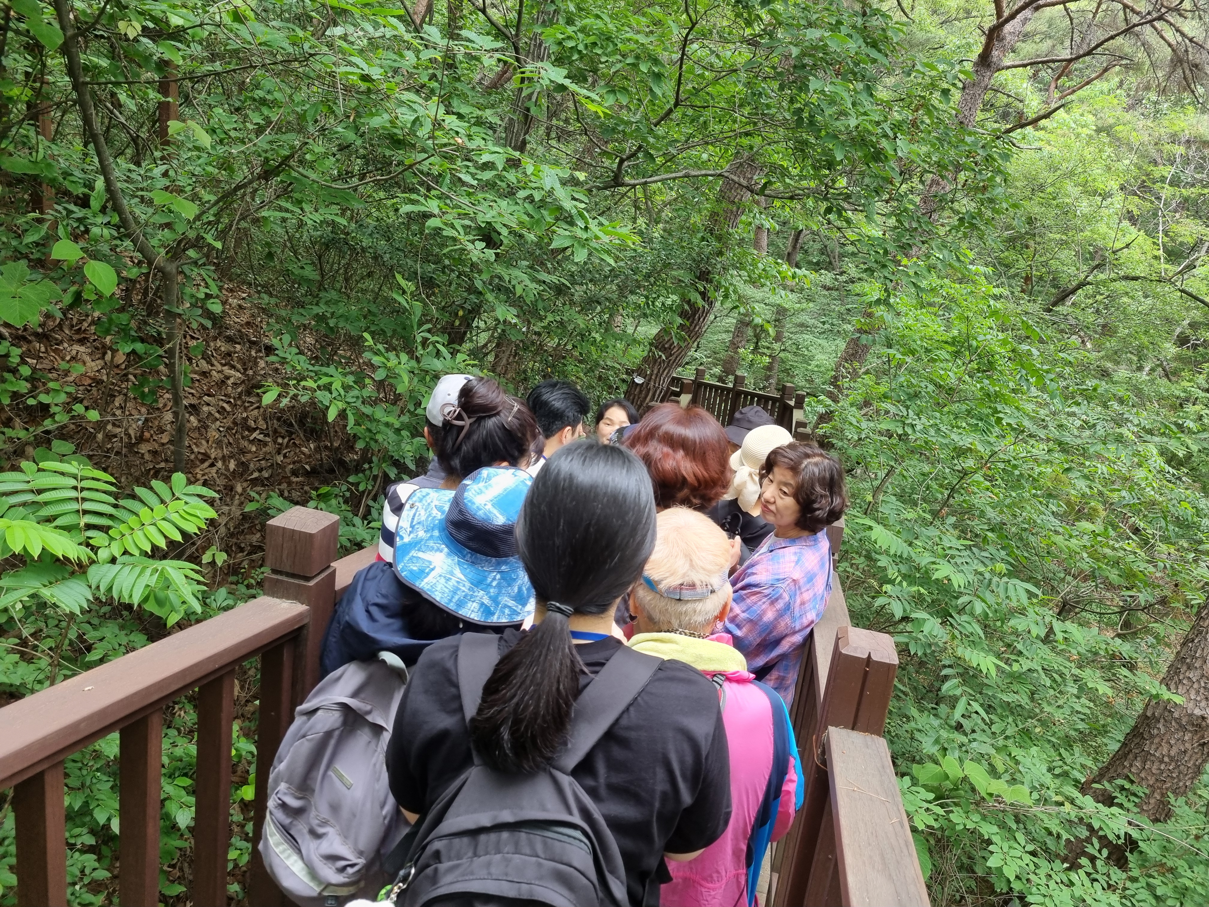 계곡물 소리 들으며 명상해요