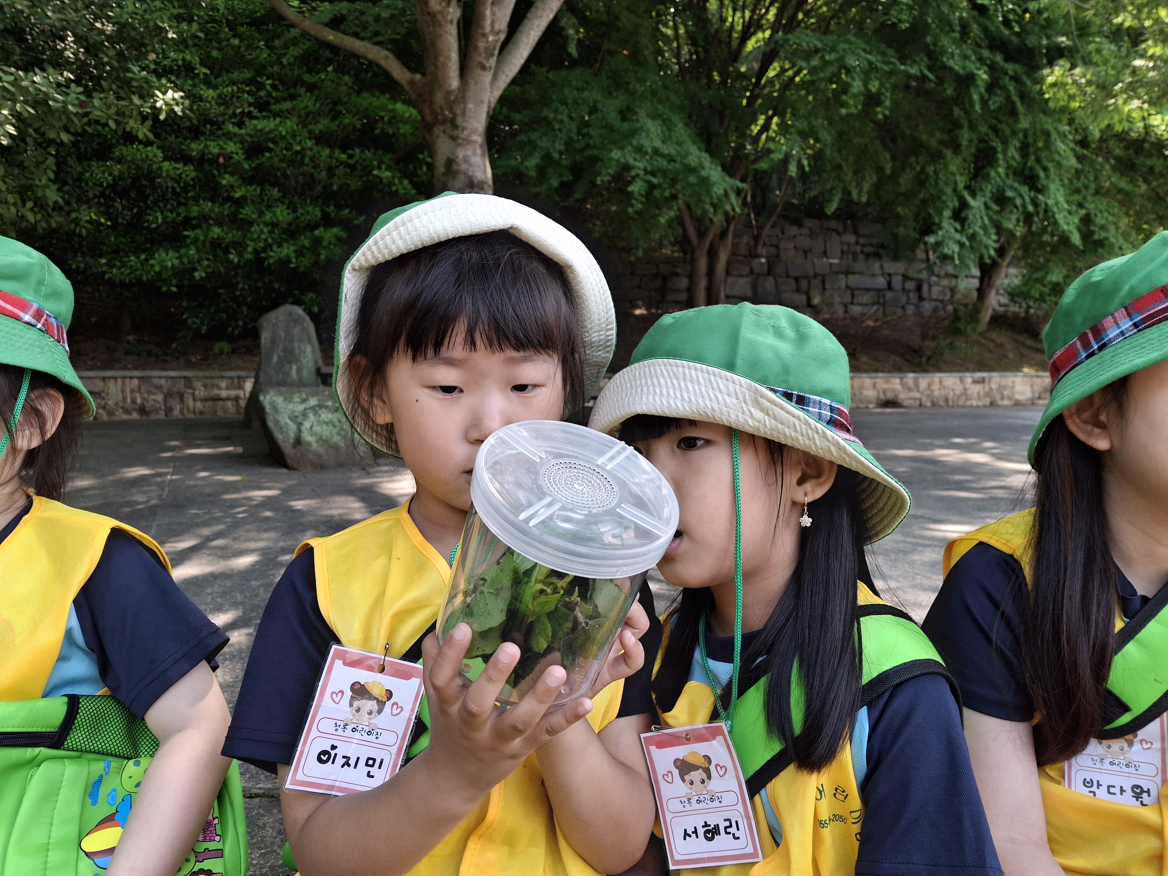 무당벌레 애벌레 관찰