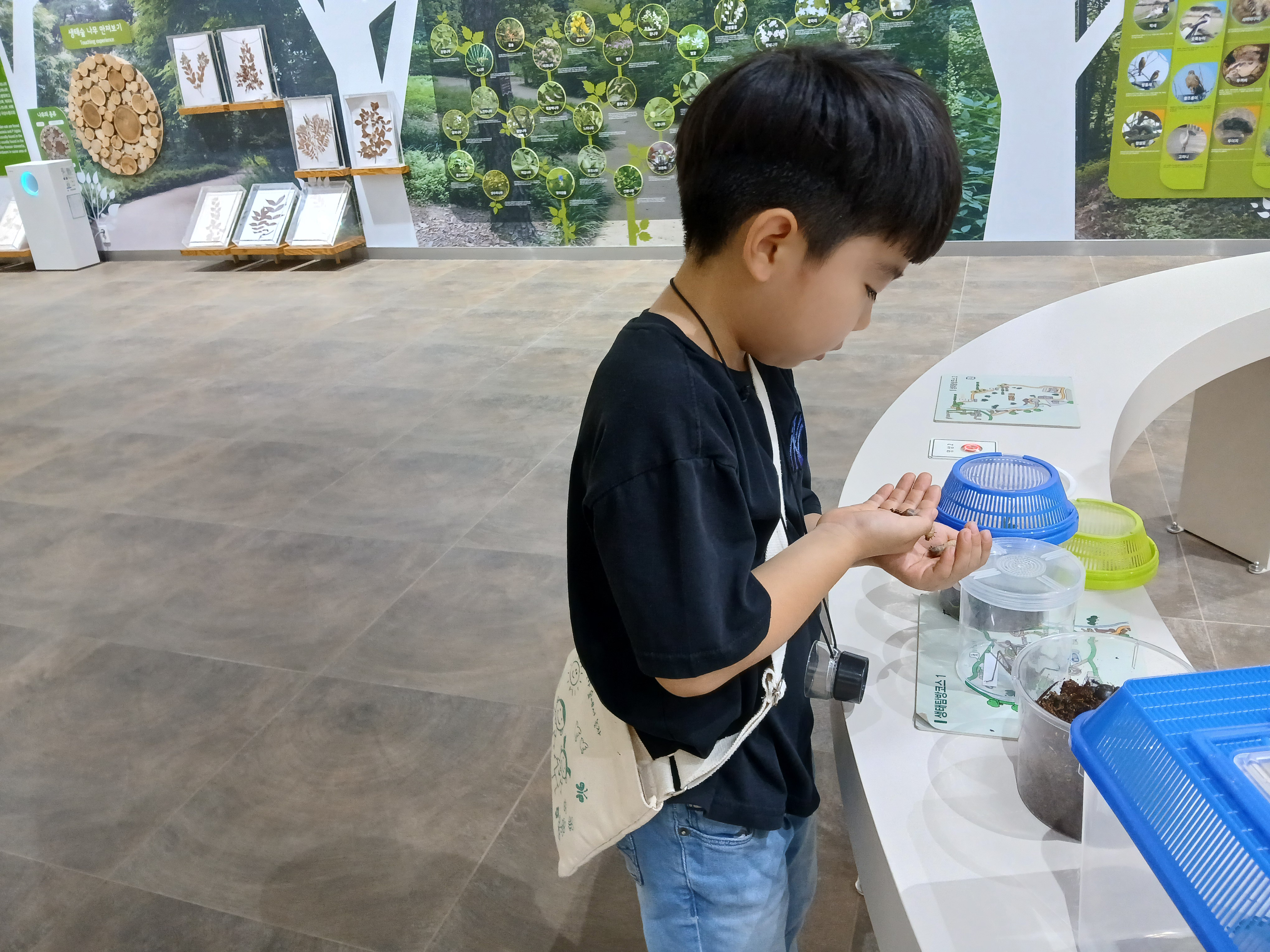 애벌레는 봐도 신기하고 좋아요