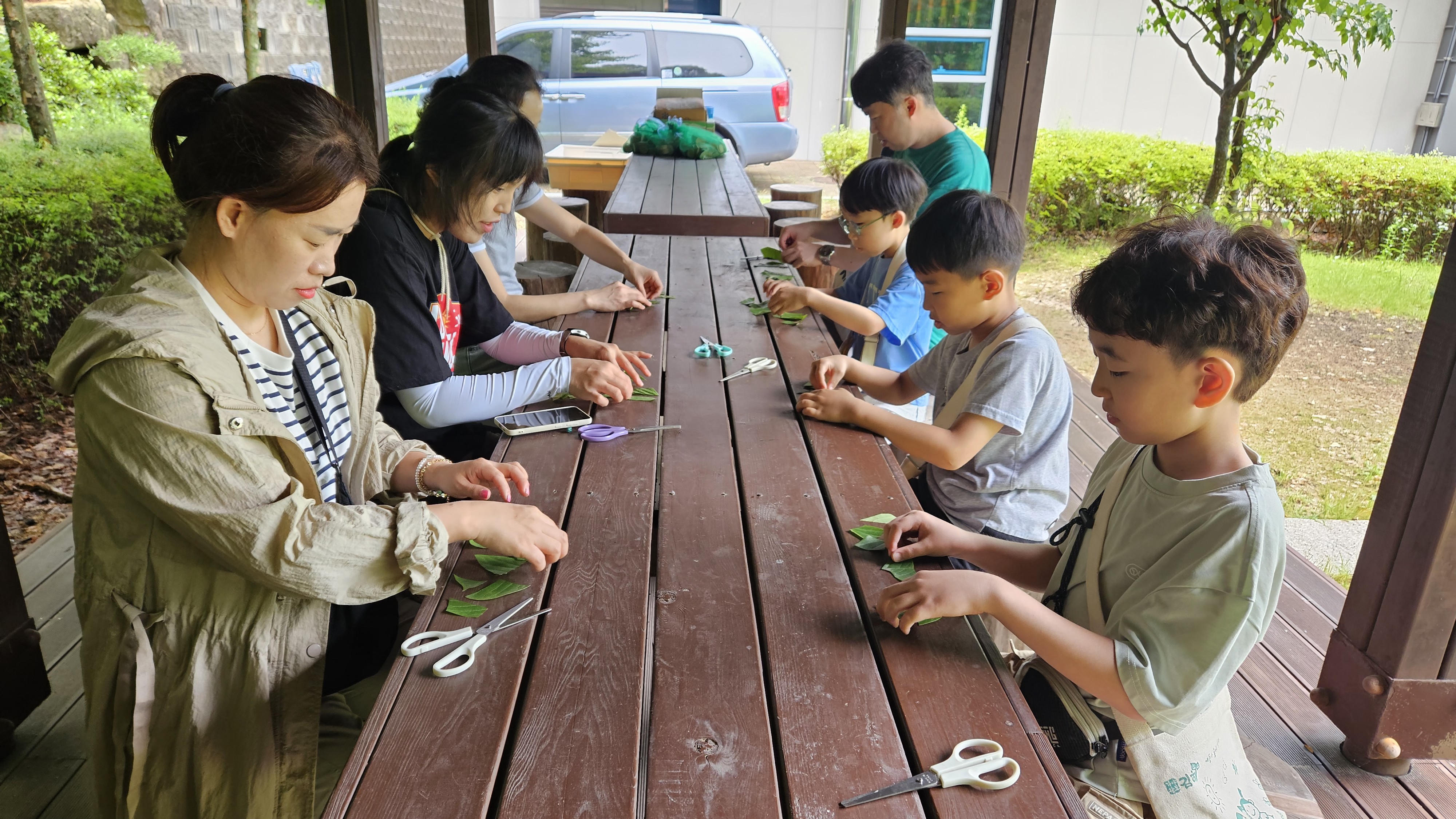 숲놀이 하기전에 나뭇잎에 대해 알아보고 놀이도 해요