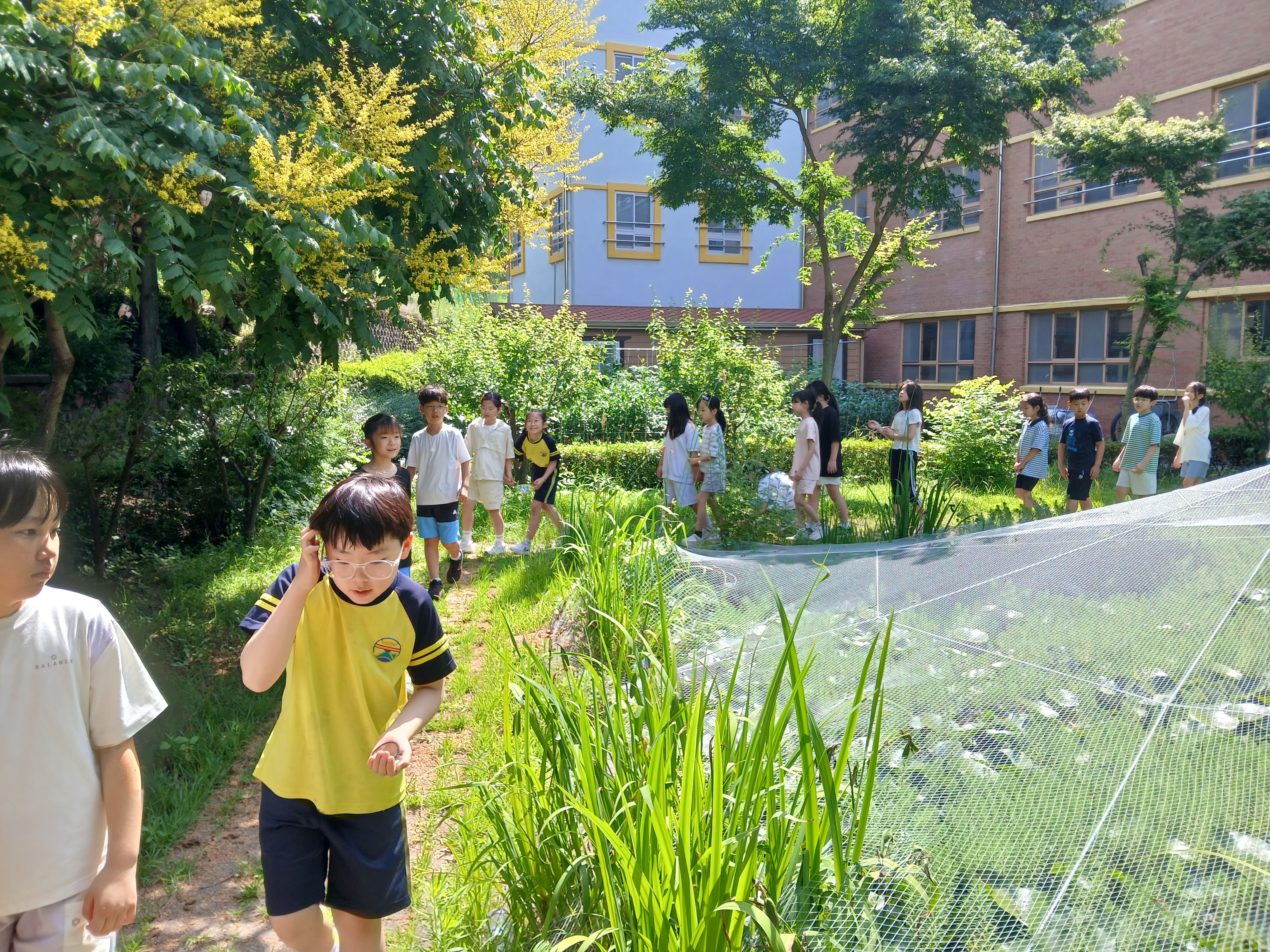 학교 숲에 식물과 곤충의 공존관계를 알아본다