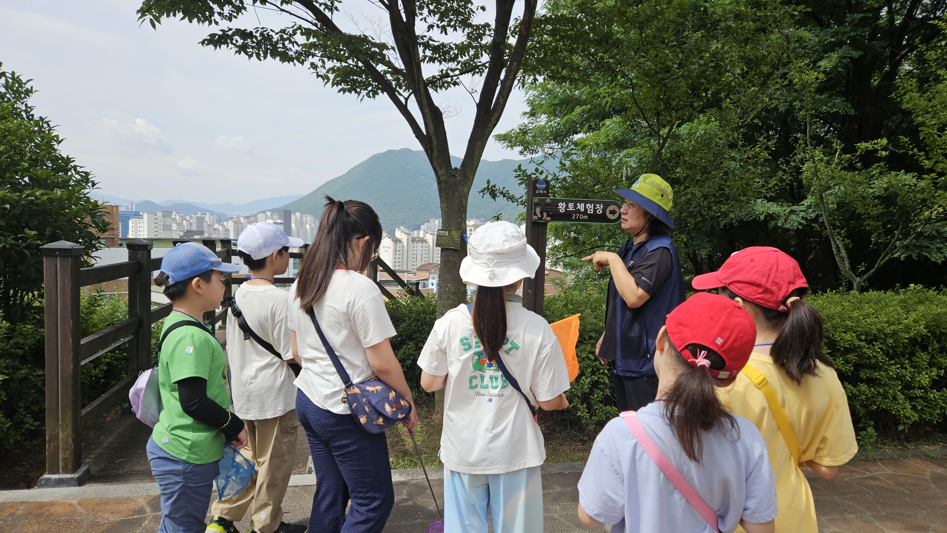 나무에서 매미와 매미 탈피각 매미 탈출구 곤충들을 찾아보자