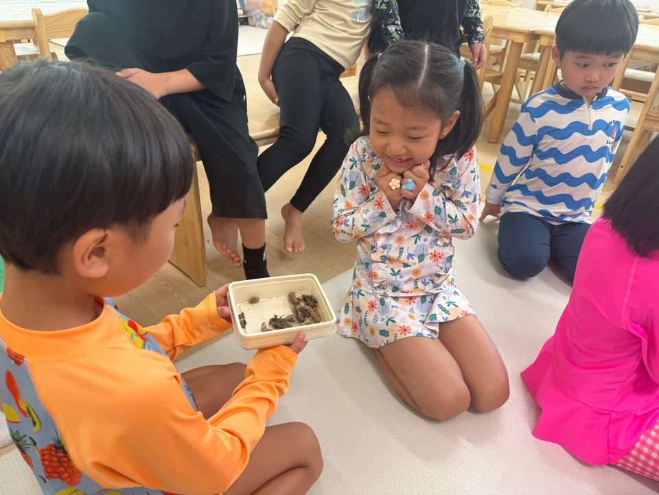 매미를 이렇게 가까이 보는것 처음이에요