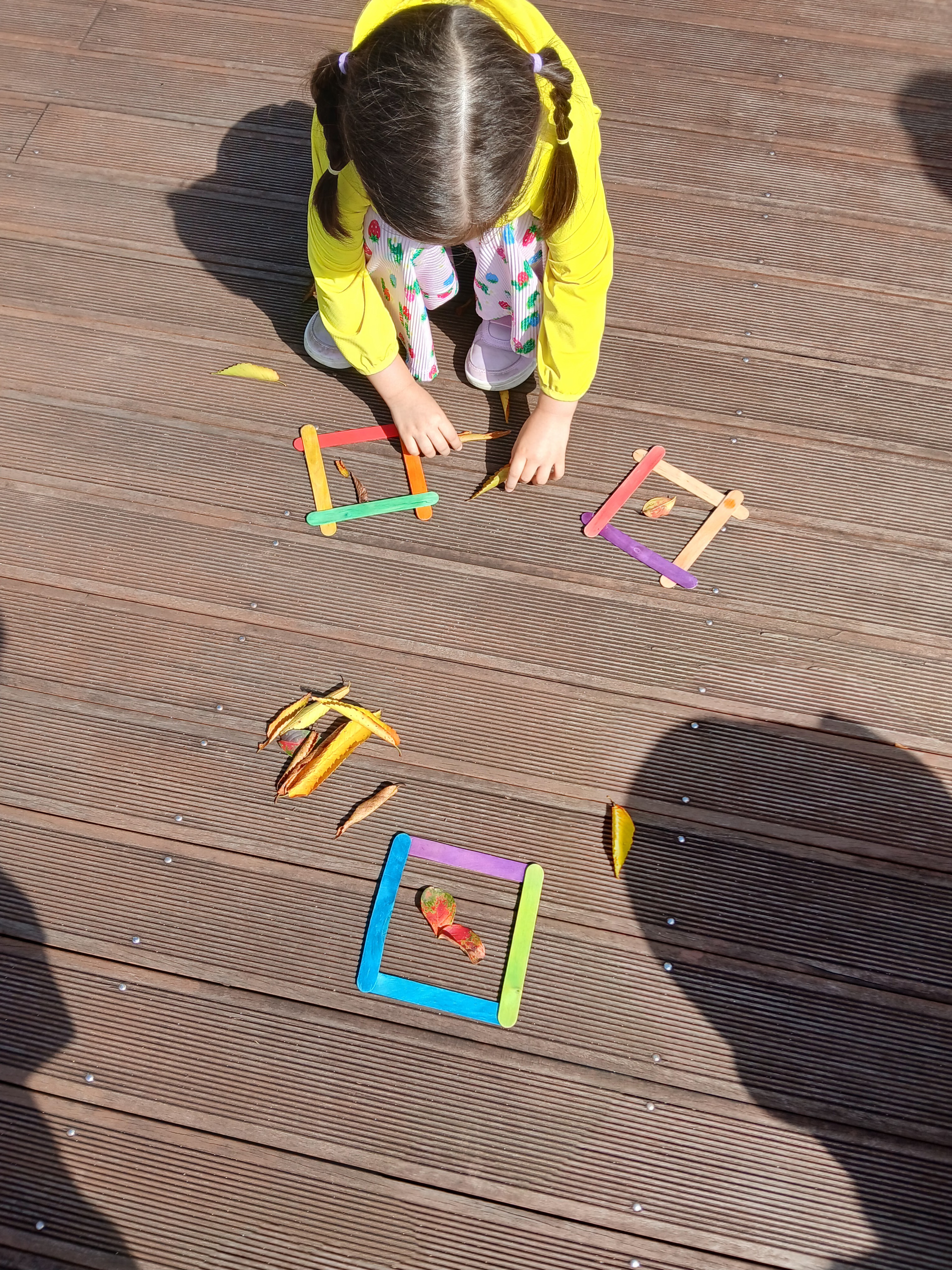 나무 액자에 나만의 자연물을 넣어 보아요