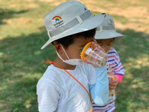 개미를 관찰해요~~